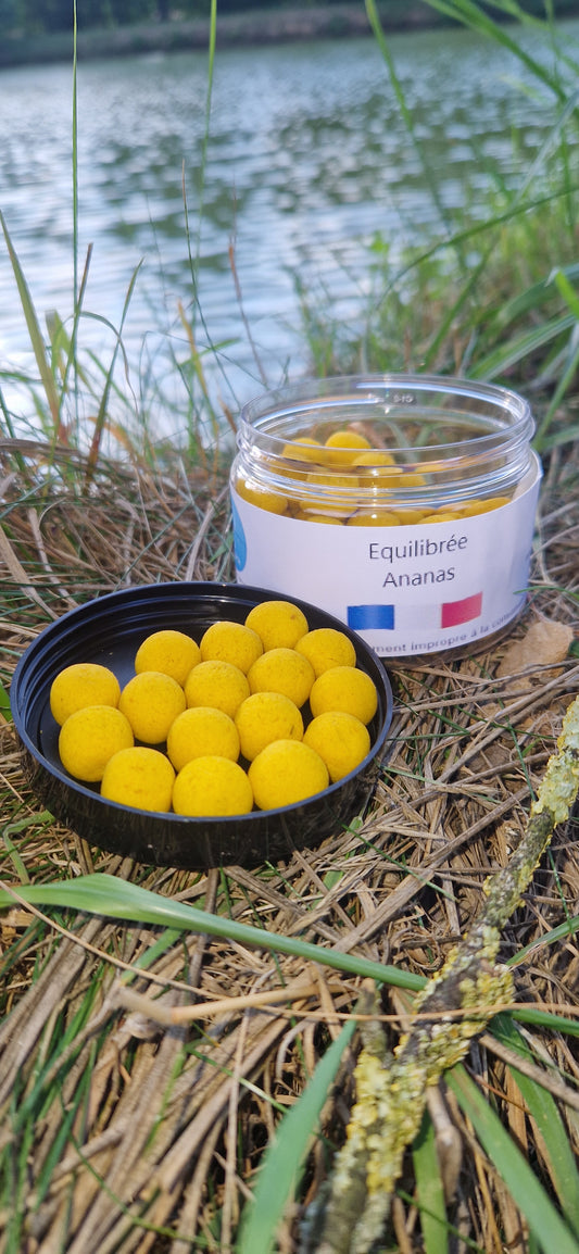 Bouillettes équilibrées